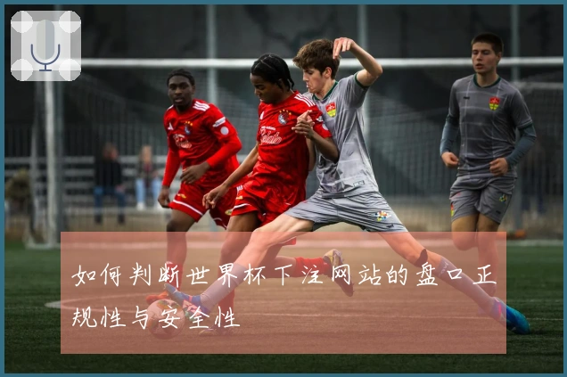 如何判断世界杯下注网站的盘口正规性与安全性