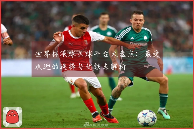 世界杯滚球买球平台大盘点：最受欢迎的选择与优缺点解析
