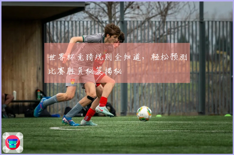 世界杯竞猜规则全知道，轻松预测比赛胜负秘笈揭秘