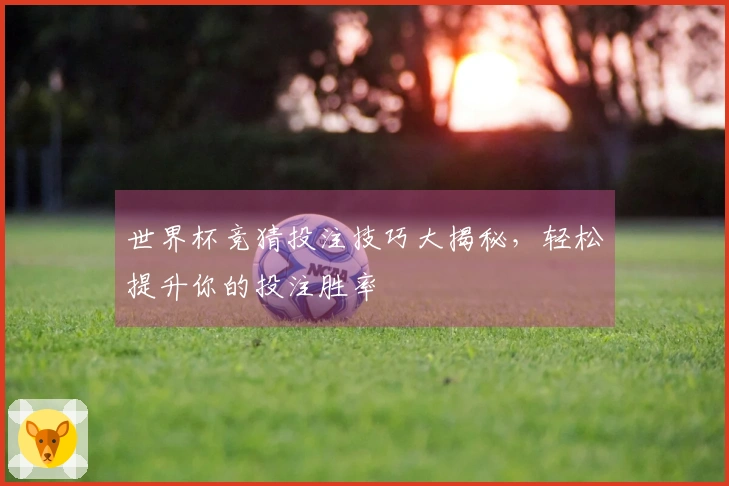 世界杯竞猜投注技巧大揭秘，轻松提升你的投注胜率