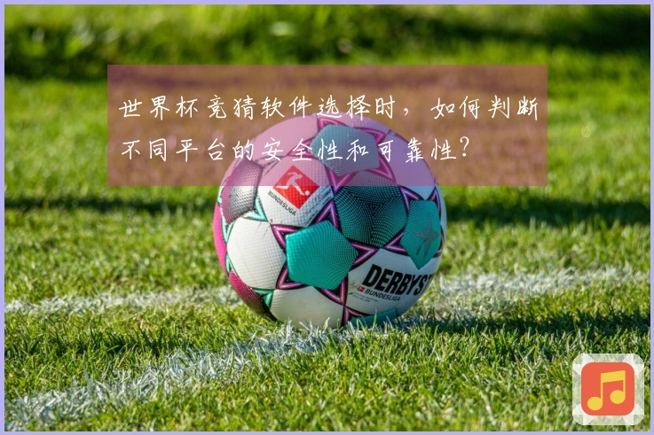 世界杯竞猜软件选择时，如何判断不同平台的安全性和可靠性？