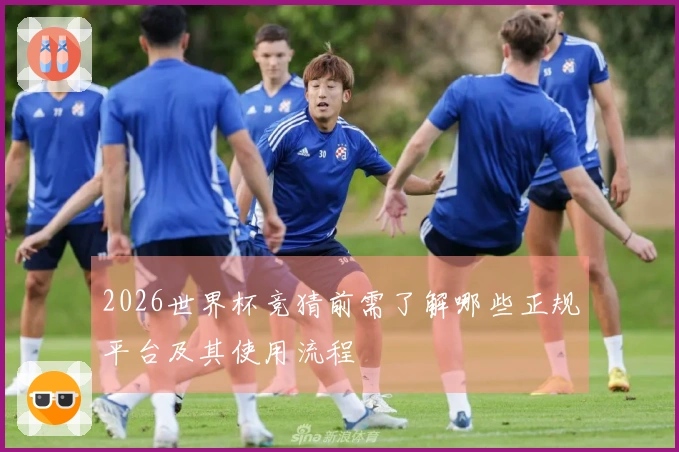 2026世界杯竞猜前需了解哪些正规平台及其使用流程