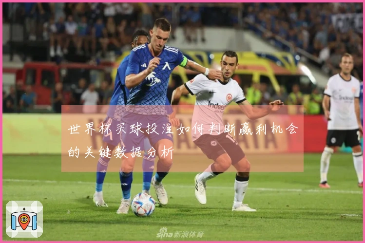 世界杯买球投注如何判断赢利机会的关键数据分析