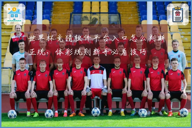 世界杯竞猜软件平台入口怎么判断正规，体彩规则新手必看技巧