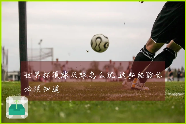 世界杯滚球买球怎么玩 这些经验你必须知道