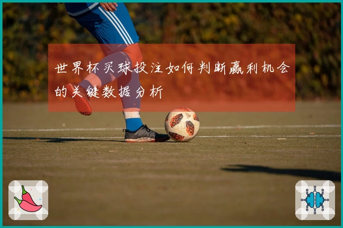 世界杯买球投注如何判断赢利机会的关键数据分析