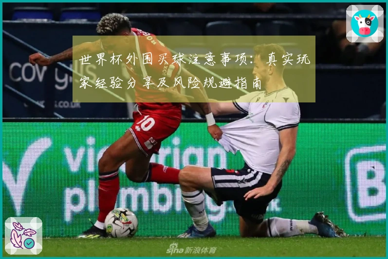 世界杯外围买球注意事项：真实玩家经验分享及风险规避指南