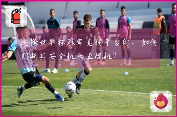 选择世界杯冠军竞猜平台时，如何判断其安全性和正规性？
