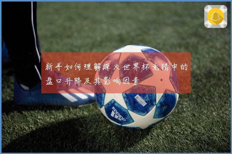 新手如何理解烽火世界杯竞猜中的盘口升降及其影响因素