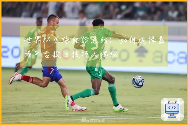 世界杯买球经验总结：如何选择靠谱平台投注技巧大揭秘