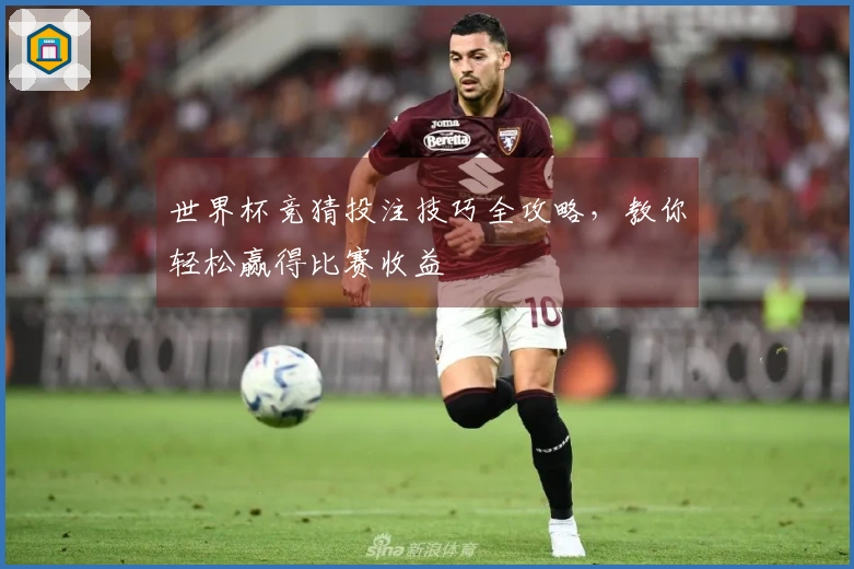 世界杯竞猜投注技巧全攻略，教你轻松赢得比赛收益