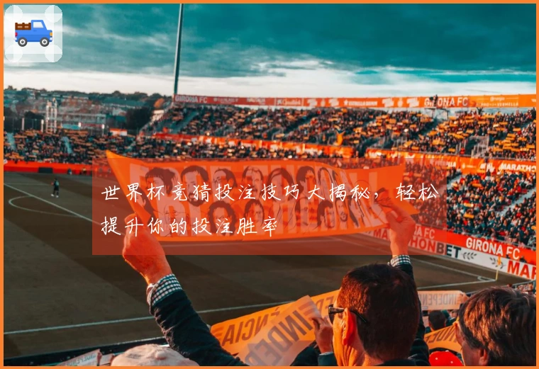 世界杯竞猜投注技巧大揭秘，轻松提升你的投注胜率