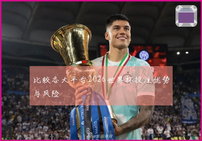 比较各大平台2026世界杯投注优势与风险