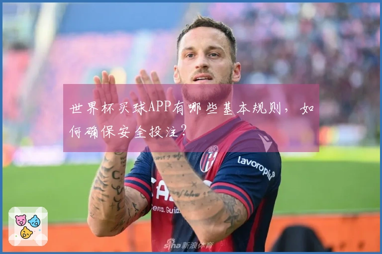 世界杯买球APP有哪些基本规则，如何确保安全投注？