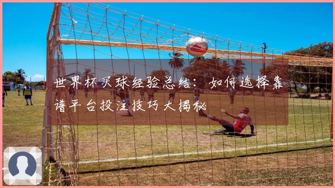 世界杯买球经验总结：如何选择靠谱平台投注技巧大揭秘