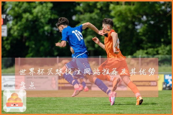 世界杯买球投注网站推荐及其优势盘点