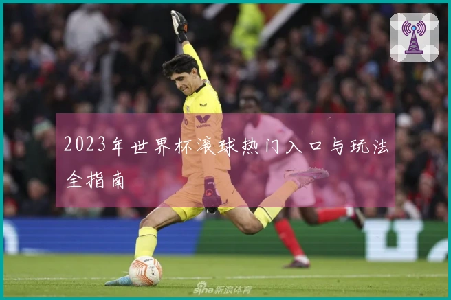 2023年世界杯滚球热门入口与玩法全指南