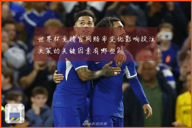 世界杯竞猜官网赔率变化影响投注决策的关键因素有哪些？
