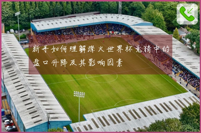 新手如何理解烽火世界杯竞猜中的盘口升降及其影响因素
