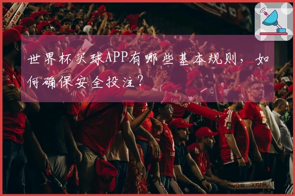 世界杯买球APP有哪些基本规则，如何确保安全投注？