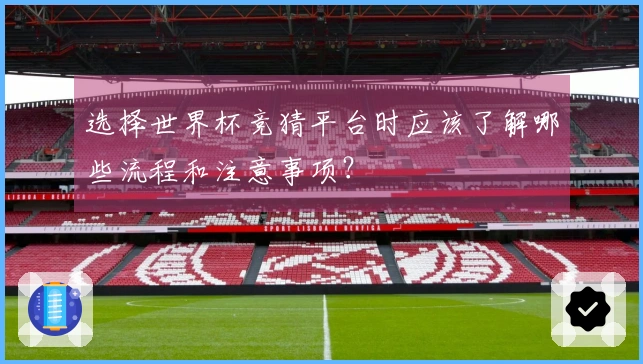 选择世界杯竞猜平台时应该了解哪些流程和注意事项？