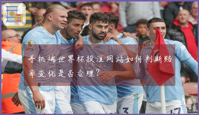 手机端世界杯投注网站如何判断赔率变化是否合理？