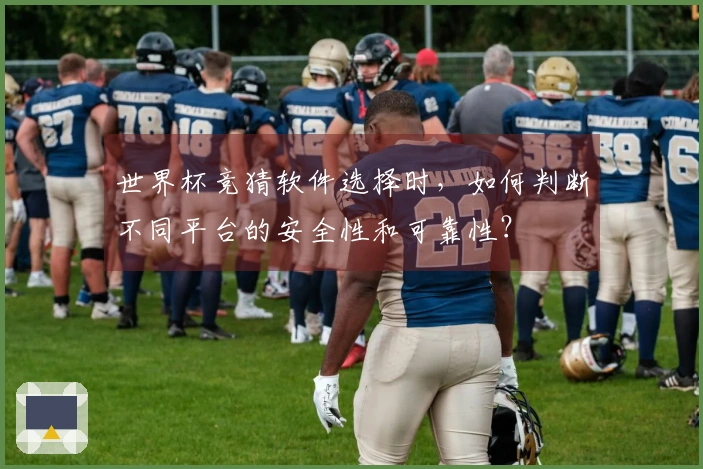 世界杯竞猜软件选择时，如何判断不同平台的安全性和可靠性？