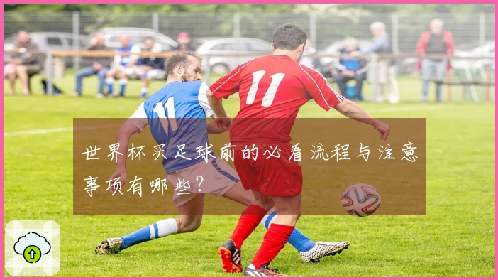 世界杯买足球前的必看流程与注意事项有哪些？
