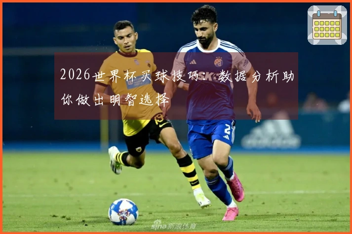2026世界杯买球技巧：数据分析助你做出明智选择