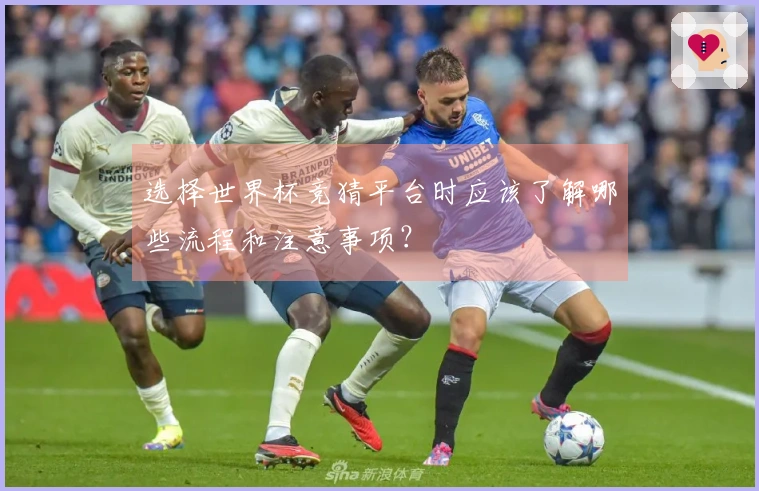 选择世界杯竞猜平台时应该了解哪些流程和注意事项？