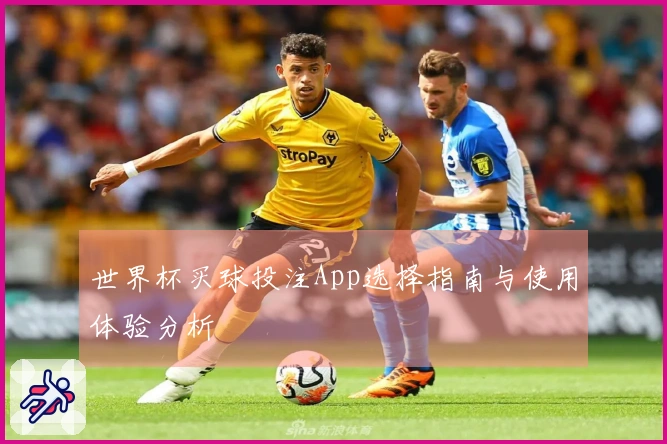 世界杯买球投注App选择指南与使用体验分析