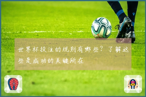 世界杯投注的规则有哪些？了解这些是成功的关键所在