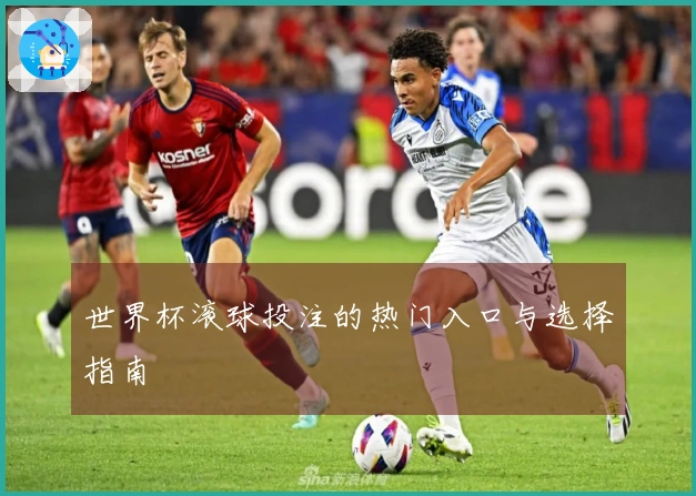 世界杯滚球投注的热门入口与选择指南