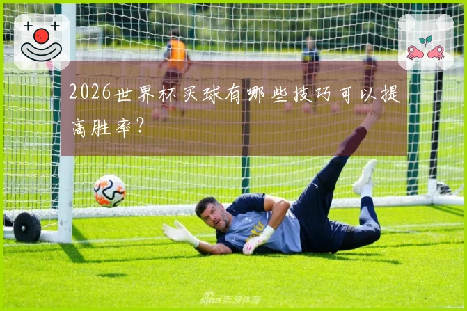 2026世界杯买球有哪些技巧可以提高胜率？