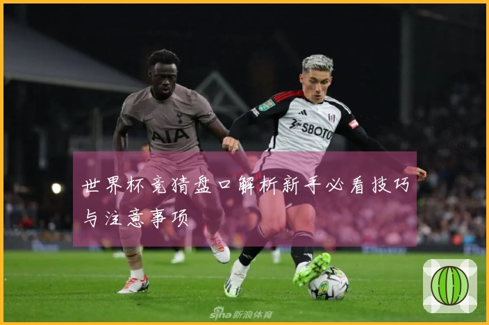 世界杯竞猜盘口解析新手必看技巧与注意事项