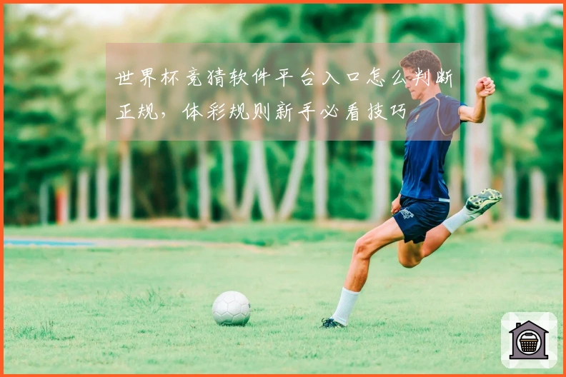 世界杯竞猜软件平台入口怎么判断正规，体彩规则新手必看技巧