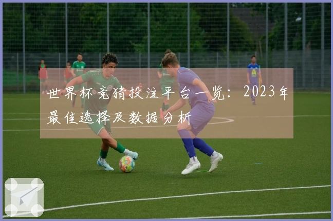 世界杯竞猜投注平台一览：2023年最佳选择及数据分析