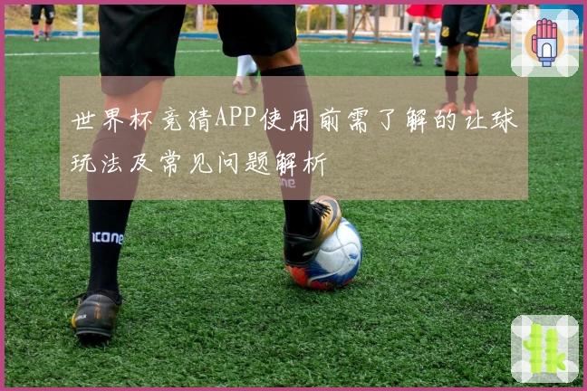 世界杯竞猜APP使用前需了解的让球玩法及常见问题解析